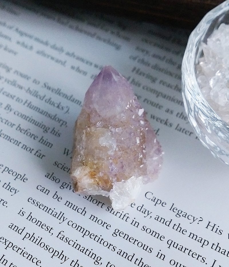 Cactus Amethyst 南非产地 仙人掌紫水晶 天然矿石 原矿 - 摆饰 - 其他材质 