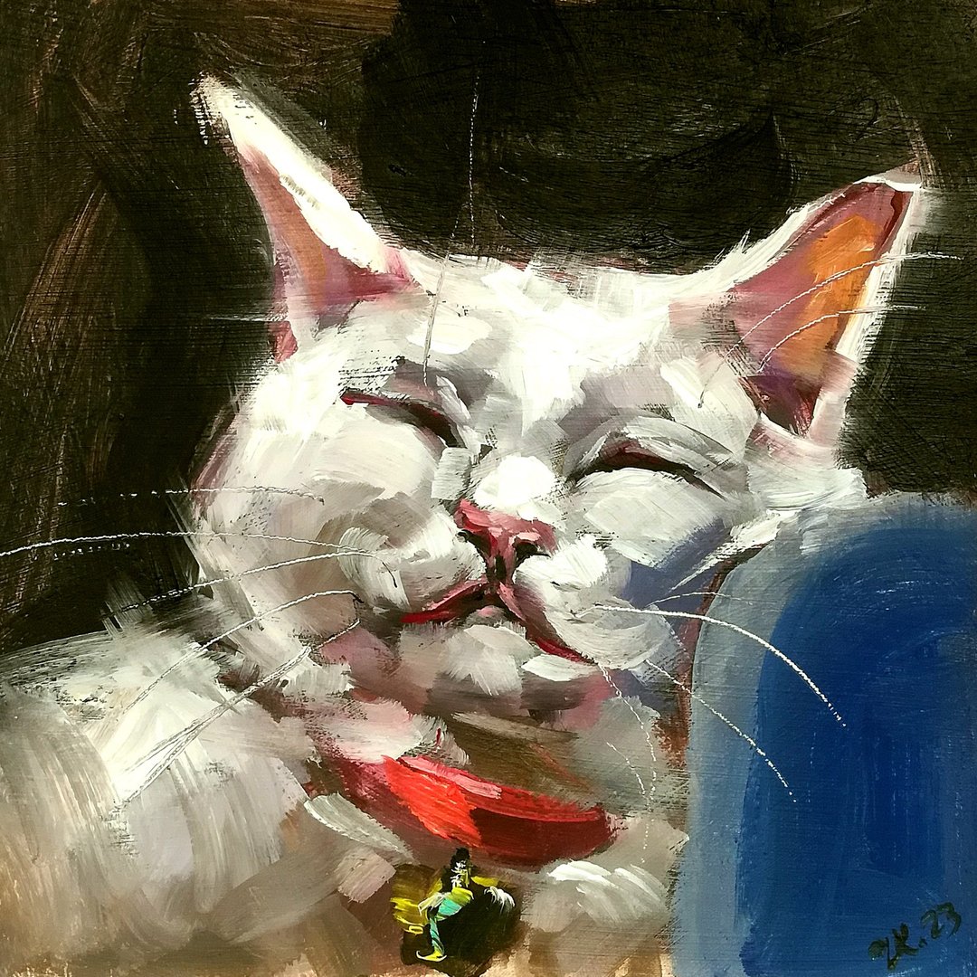 睡猫肖像白猫动物宠物艺术品原创油画 - 海报/装饰画/版画 - 其他材质 多色