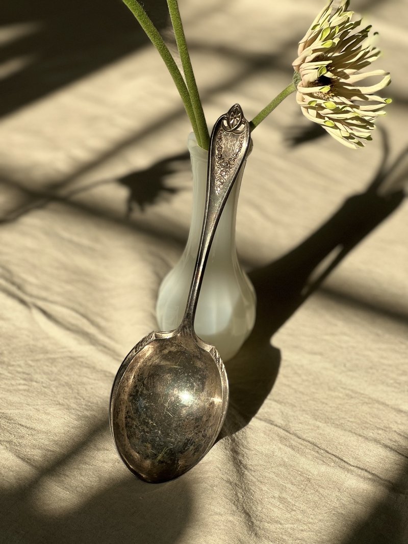 Vintage 1940年美国制Rogers Bros镀银大汤匙 - 餐刀/叉/匙组合 - 银 