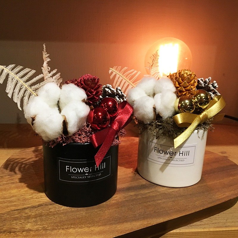 你的圣诞提案(整组)-圣诞限定盆栽 干燥花 交换礼物 - 干燥花/捧花 - 植物．花 