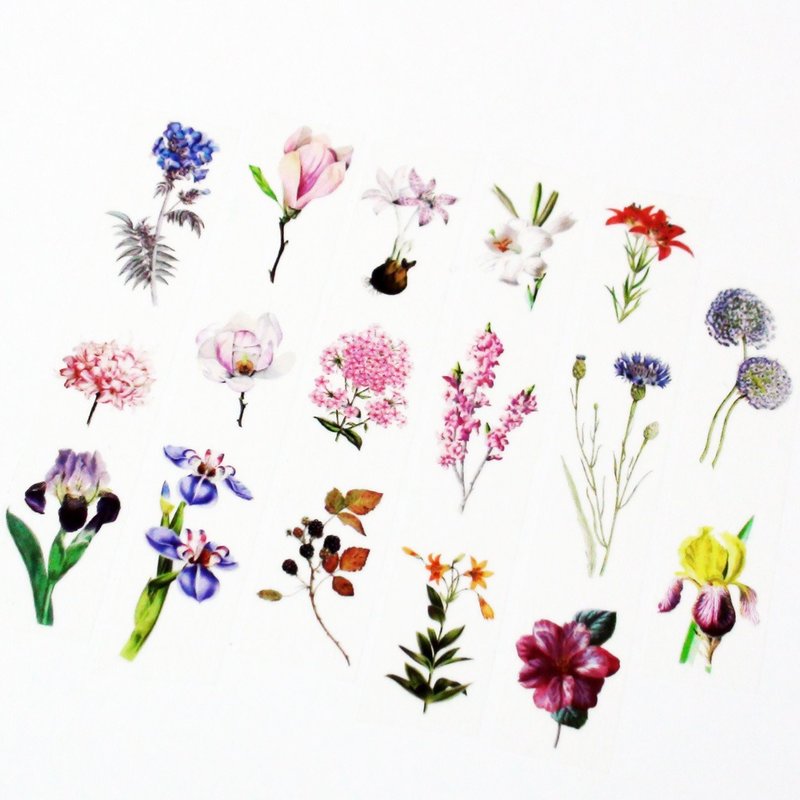 麒麟纸胶带 植物园角落 - 纸胶带 - 纸 