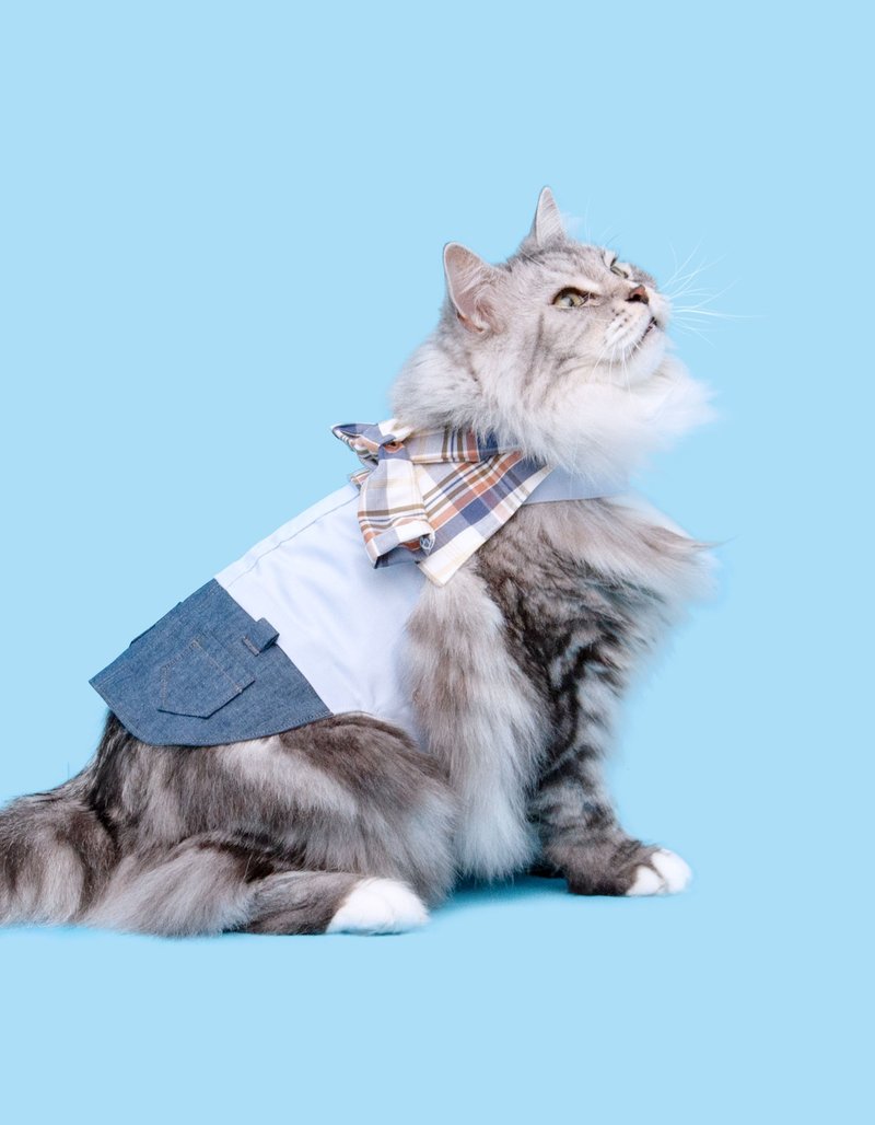 午后踏青 Among 胸背衣 - 衣/帽 - 棉．麻 蓝色