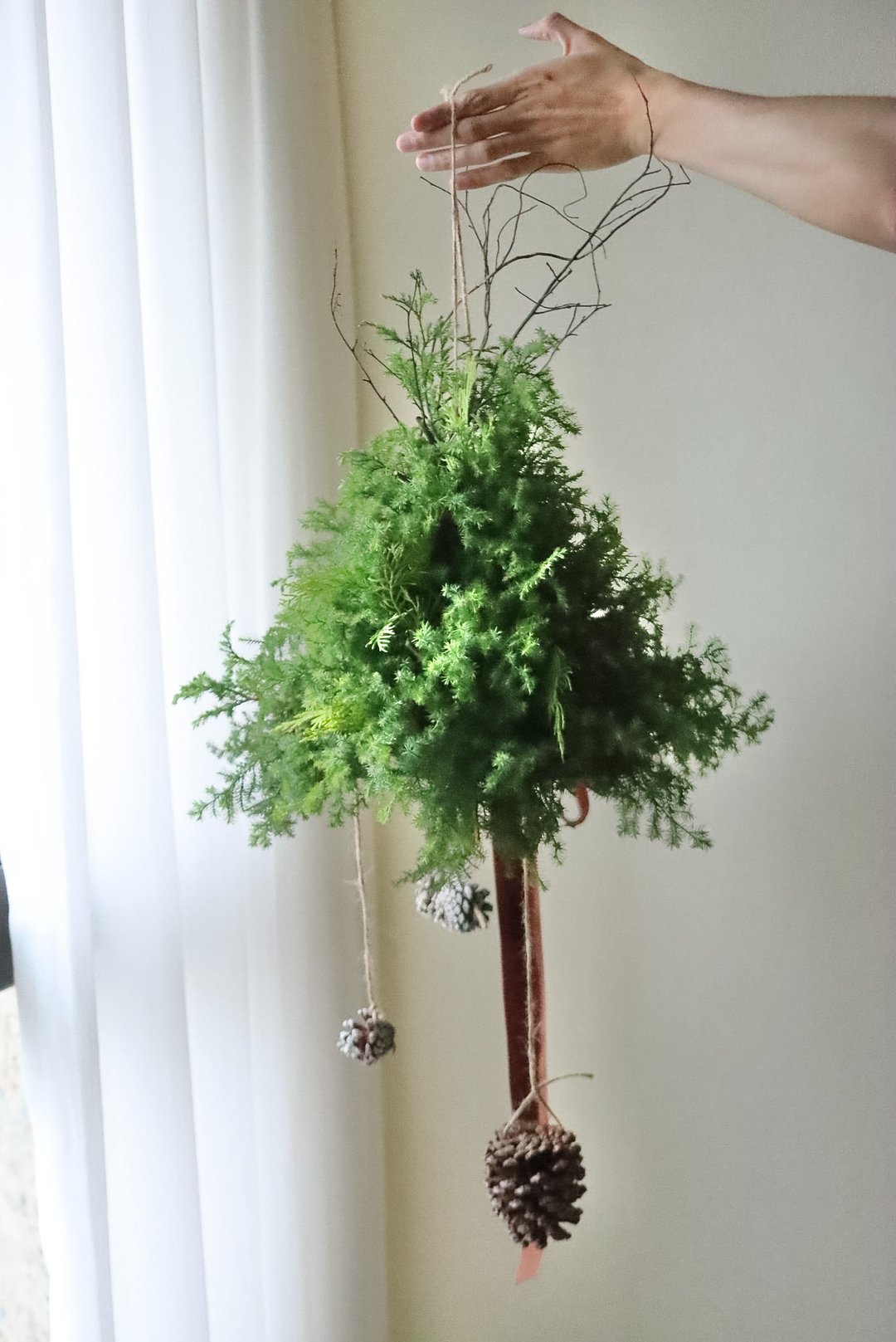 圣诞课程_圣诞悬浮小树_新鲜雪松/台中花店 - 植栽 - 植物．花 