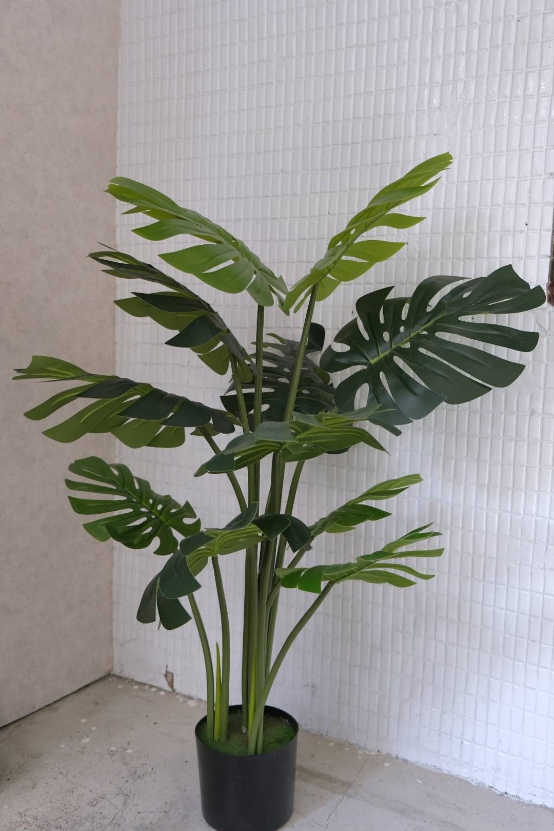 人造植栽/仿真龟背叶/仿真植物/绿化/永不凋零 - 植栽/盆栽 - 塑料 绿色