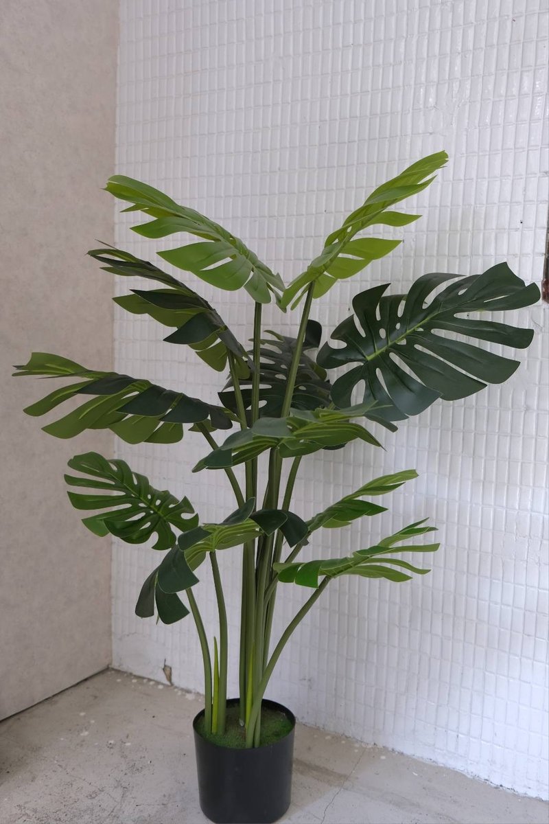 人造植栽/仿真龟背叶/仿真植物/绿化/永不凋零 - 植栽/盆栽 - 塑料 绿色