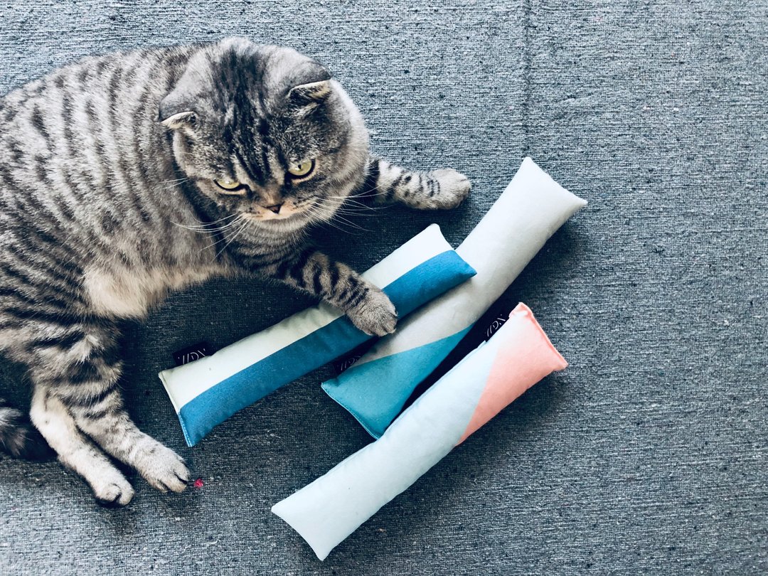 猫草踢踢抱枕 - Colour Blocking 浅粉红 / 浅蓝 - 玩具 - 棉 多色