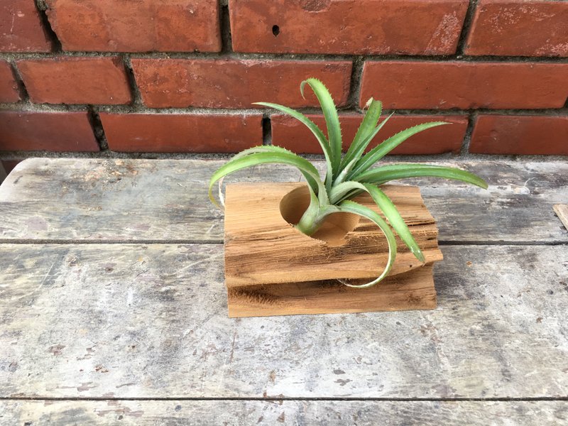 台湾桧木花台 风化木、莲花孔20cm*8cm*6.5cm - 植栽/盆栽 - 木头 金色