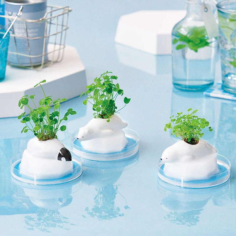 【福利品特卖】Frozoon 极地浮冰动物水耕三叶草种子栽培组 - 植栽/盆栽 - 陶 白色