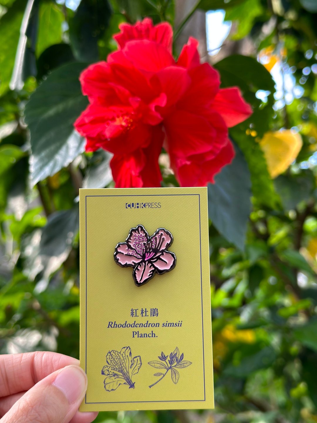 香港原生植物图鉴系列 红杜鹃襟章 - 胸针 - 其他金属 粉红色