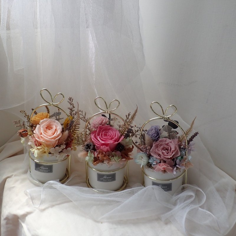 不凋花铁架盆花 - 摆饰 - 植物．花 多色