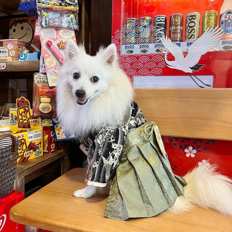 度身订制 宠物两用武士和服 男孩款 - 衣/帽 - 棉．麻 