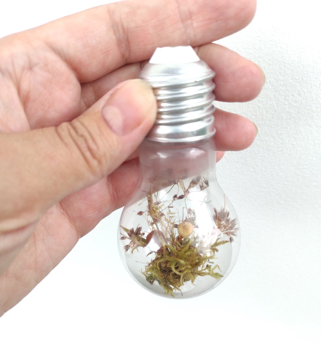 Light bulb  terrarium  1 piece, terrarium with real mushrooms and forest grass - 干燥花/捧花 - 植物．花 卡其色