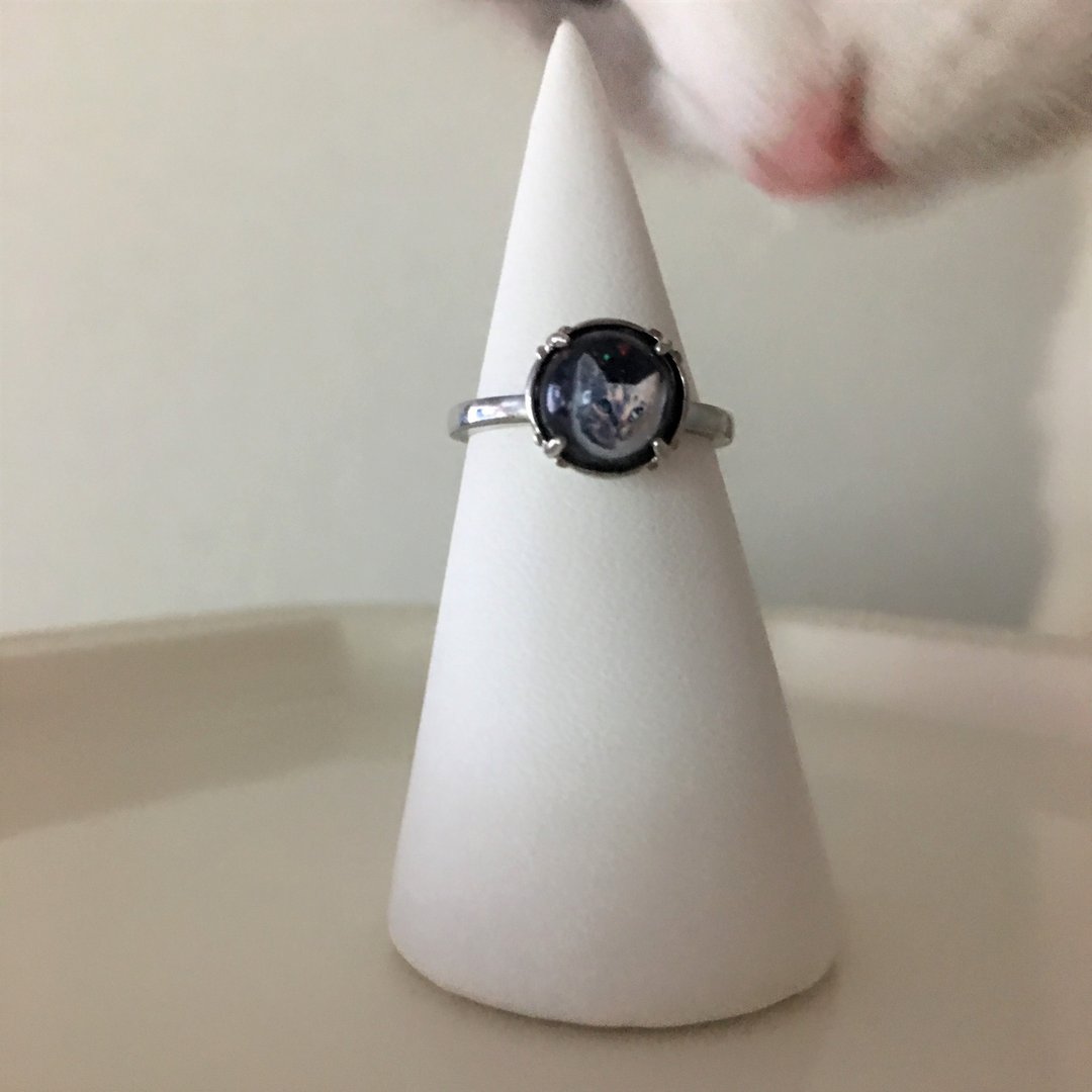 Cat ring float in space (silver color) - 戒指 - 其他金属 蓝色