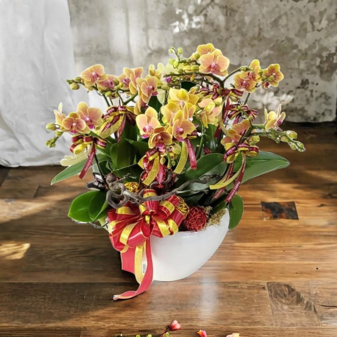 格兰花店 - 小品黄花蝴蝶兰10棵配喜庆挂饰 (GF00307) - 植栽/盆栽 - 植物．花 