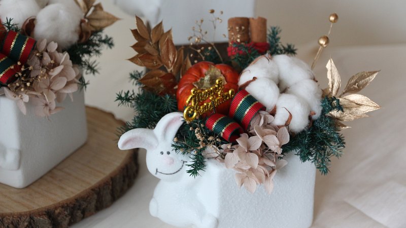 【圣诞花礼】永生盆花 棉花 圣诞礼物 交换礼物 永生盆花 - 干燥花/捧花 - 玻璃 白色