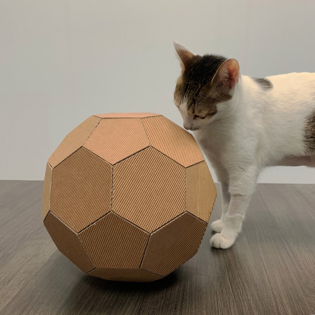 圆形猫不抓球SOCCER~纸制宠物儿童玩具 自行组装 - 玩具 - 纸 咖啡色
