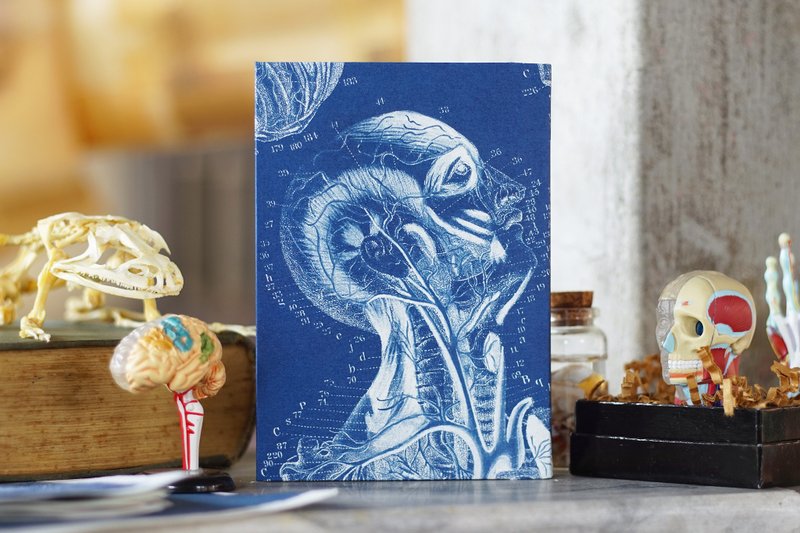 手工蓝晒笔记本 - 解剖学系列 - 循环 - 笔记本/手帐 - 纸 蓝色