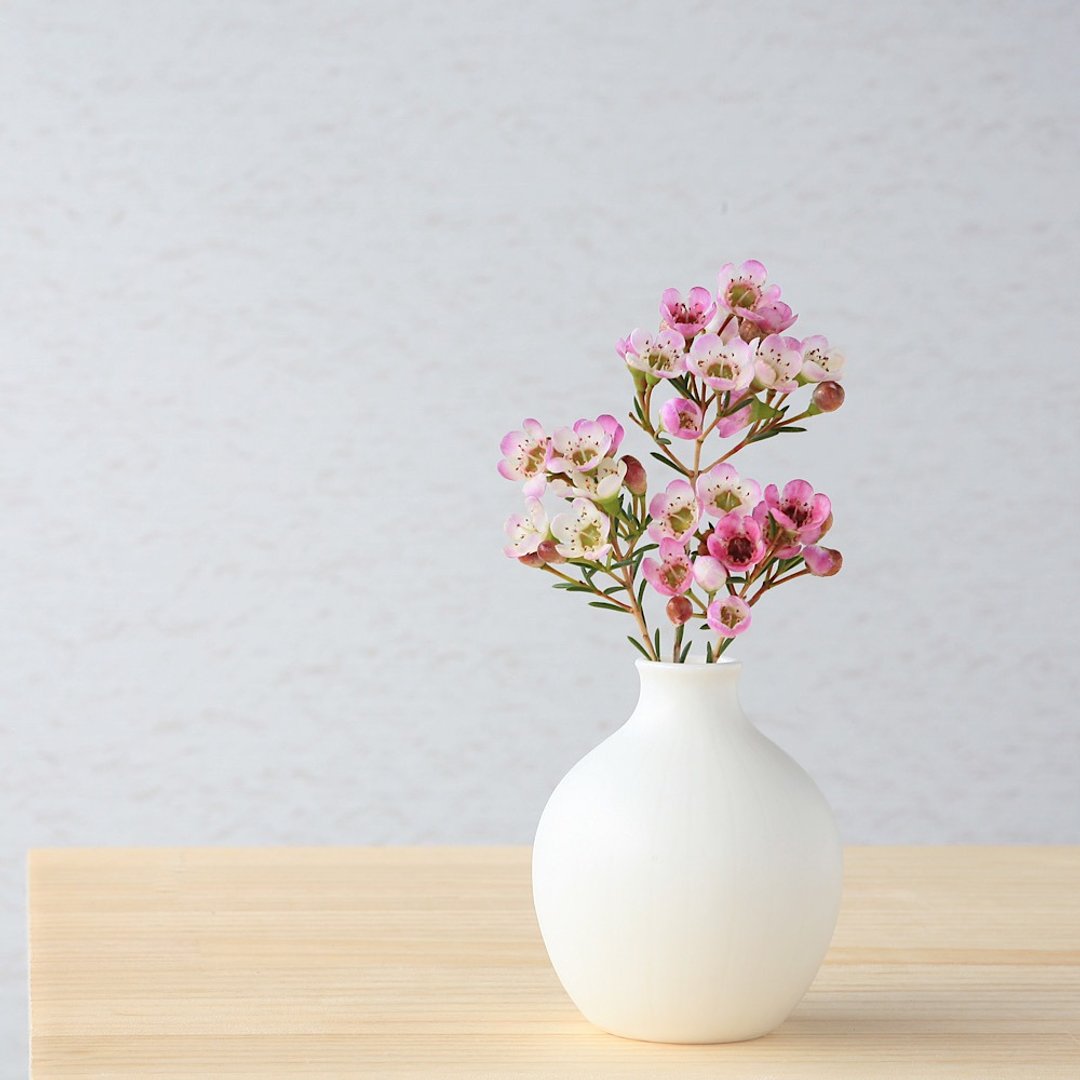 Small white pottery flower vase - 花瓶/陶器 - 瓷 白色