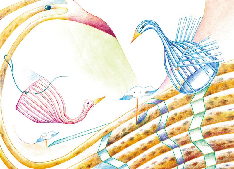 展翅_明信片 - 卡片/明信片 - 纸 多色