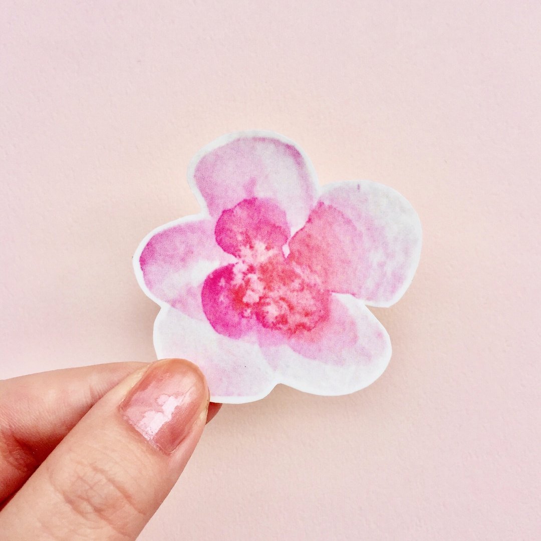 樱花贴纸 10入 - 贴纸 - 纸 粉红色