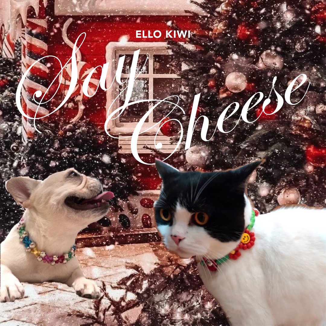 X'MAS SAY CHEESE 宠物颈链 - 衣/帽 - 压克力 多色