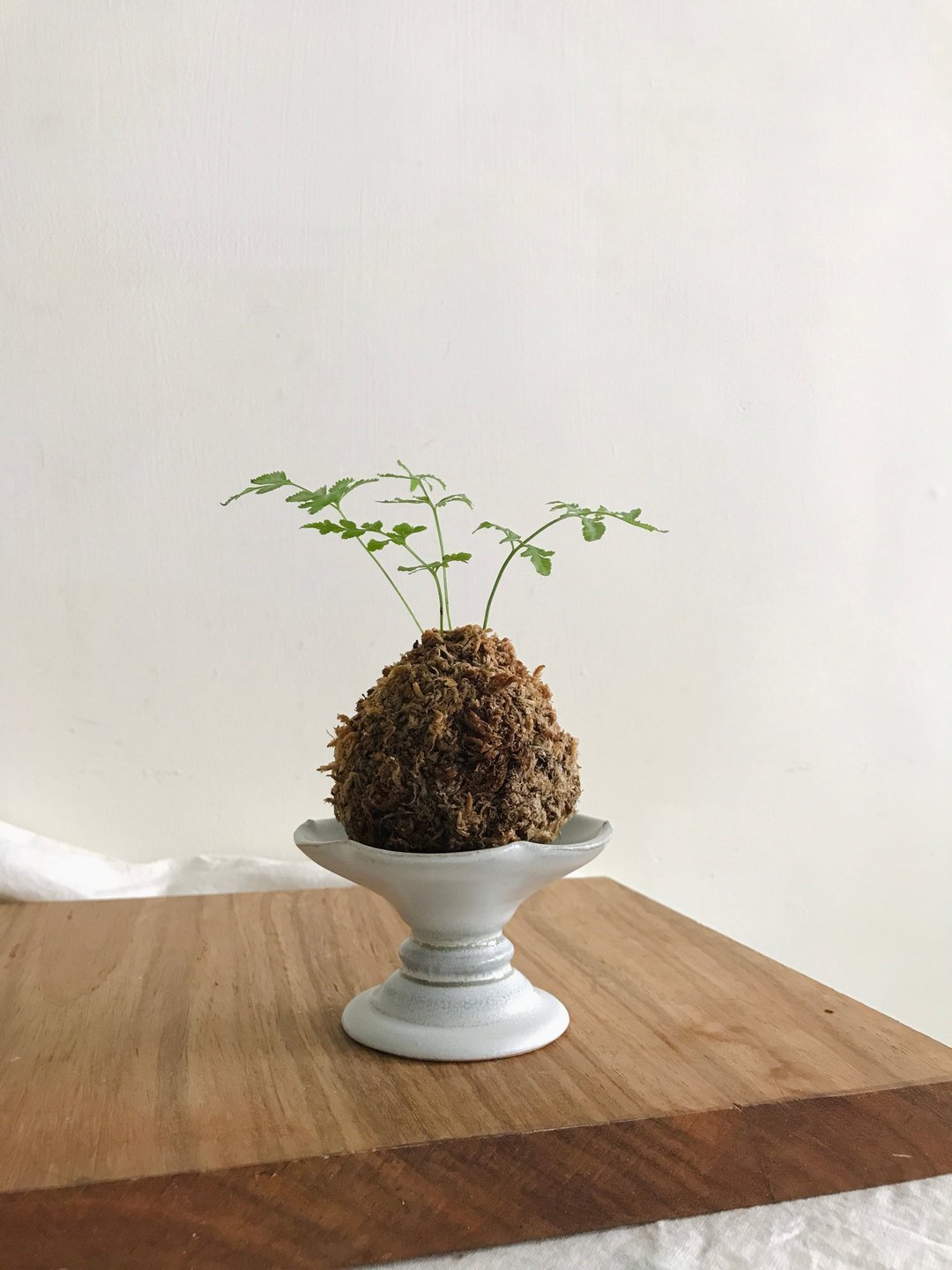Déjà vu Ceramics 灰蓝色陶瓷花边小高脚盘 - 蜡烛/烛台 - 陶 蓝色