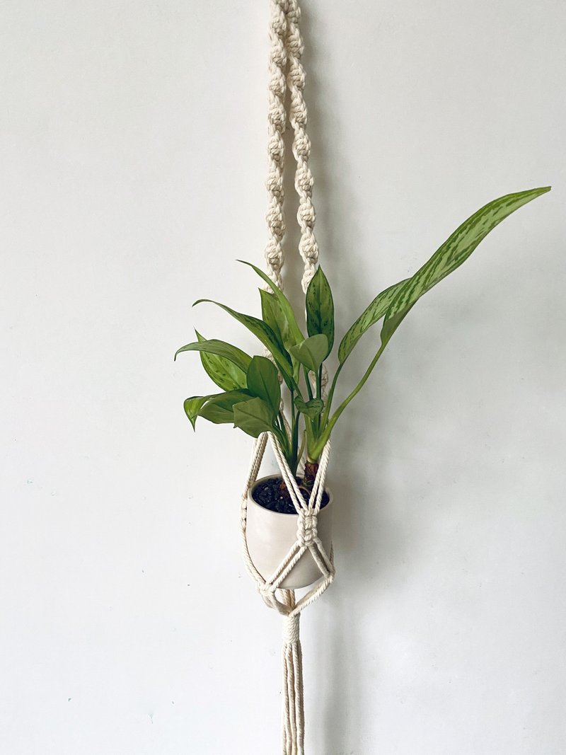 植感生活北欧风室内植栽素烧陶盆DIY系列结绳吊饰-美丽粗肋草 - 植栽/盆栽 - 植物．花 绿色