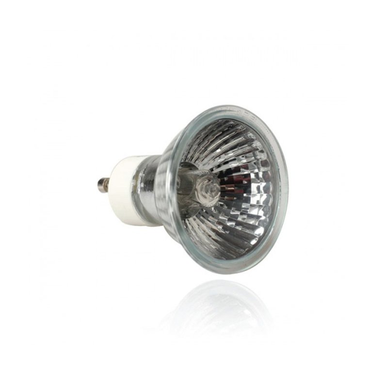 【韩国 PRAY】蜡烛暖灯专用-卤素灯泡(二入组) - 蜡烛/烛台 - 其他金属 透明