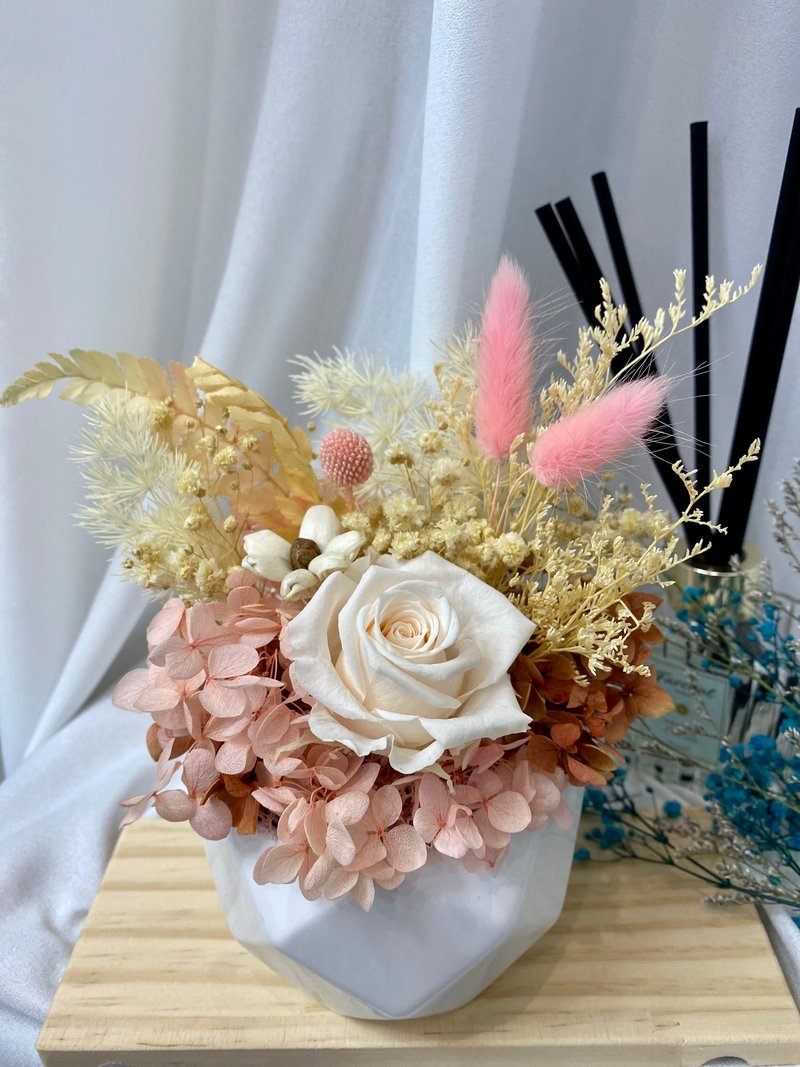 粉嫩系疗愈盆花 生日礼物 永生花 干燥花 扩香花 - 干燥花/捧花 - 植物．花 粉红色