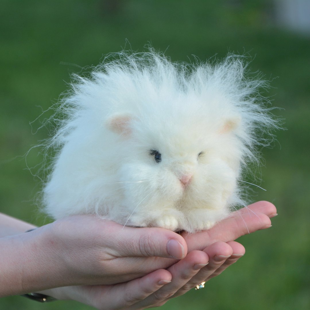 Realistic rabbit. Angora rabbit. Felted animal. White angora. White rabbit toy - 玩偶/公仔 - 羊毛 白色