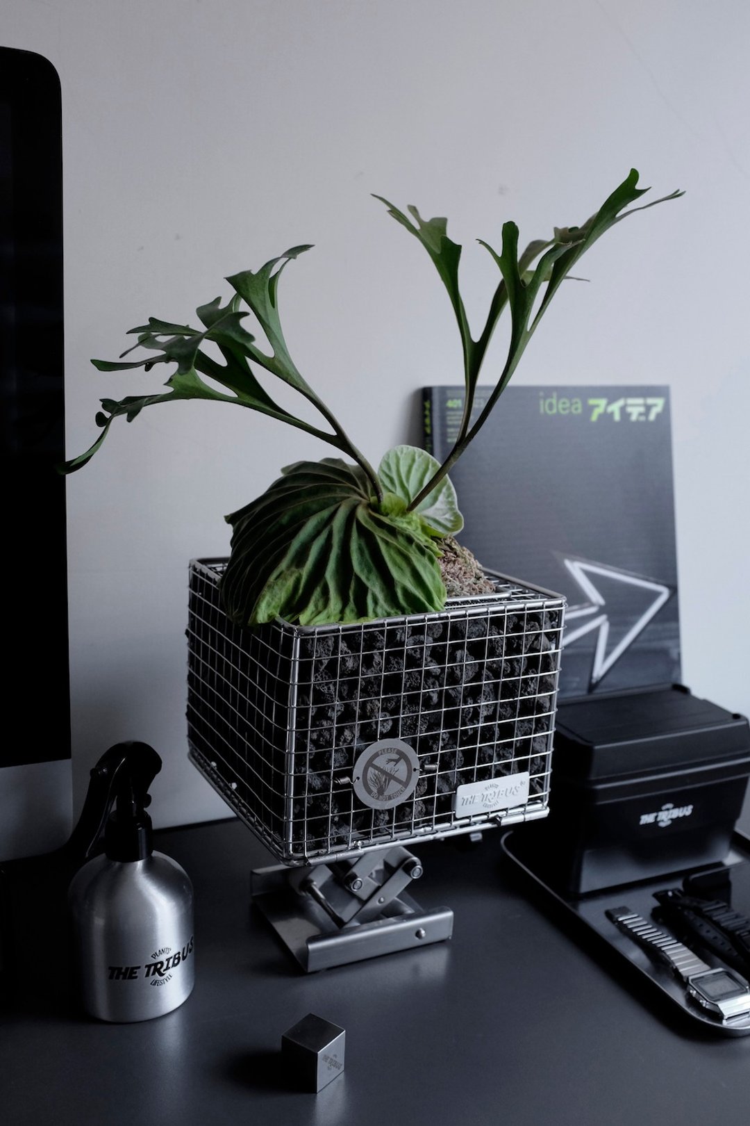 重复装填蛇笼盆 L Size - 植栽/盆栽 - 其他金属 银色