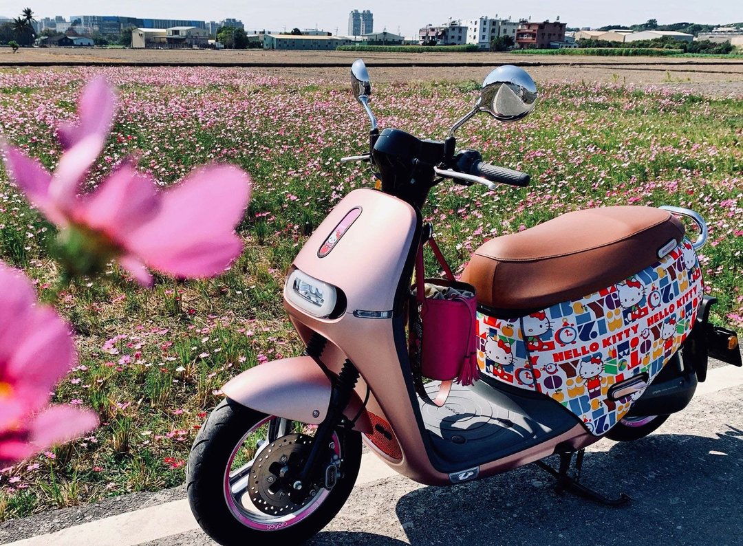 BLR X HelloKitty gogoro 防刮车套 K10 - 其他 - 聚酯纤维 多色