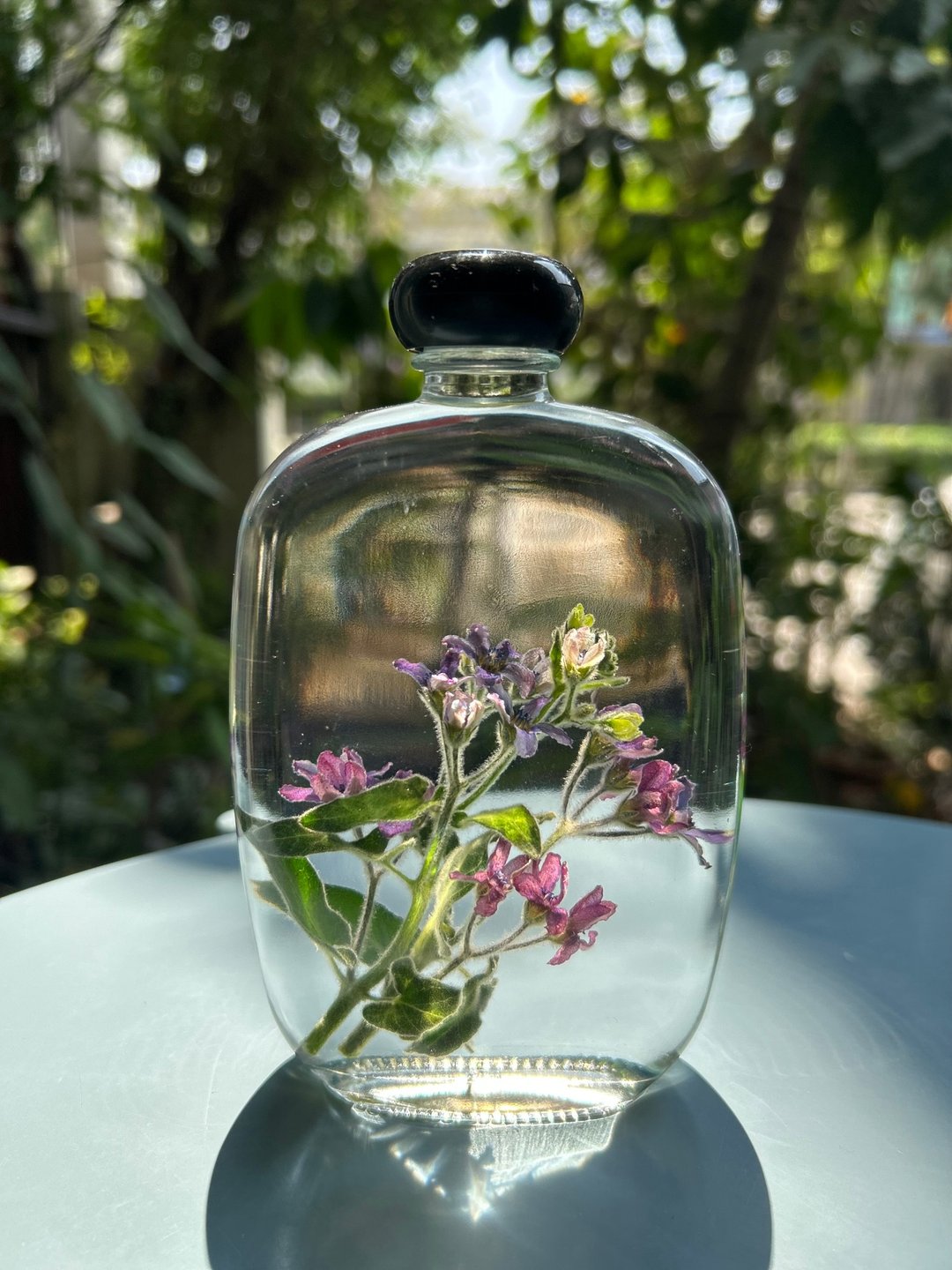 油画中的花 - 其他 - 植物．花 紫色