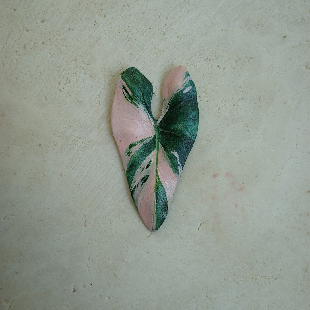 Philodendron islemanii - 摆饰 - 真皮 绿色