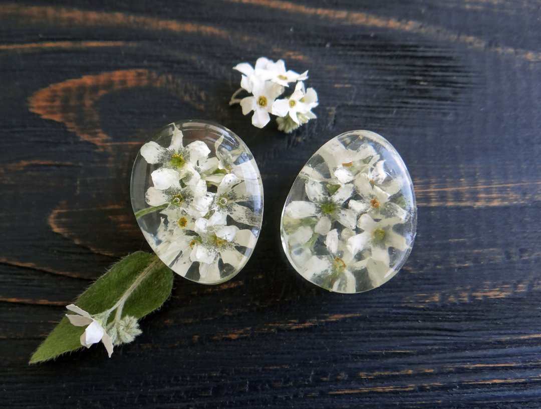 Forget me not plug earrings  White earrings 0g 2g 19mm Flowers - 耳环/耳夹 - 植物．花 白色