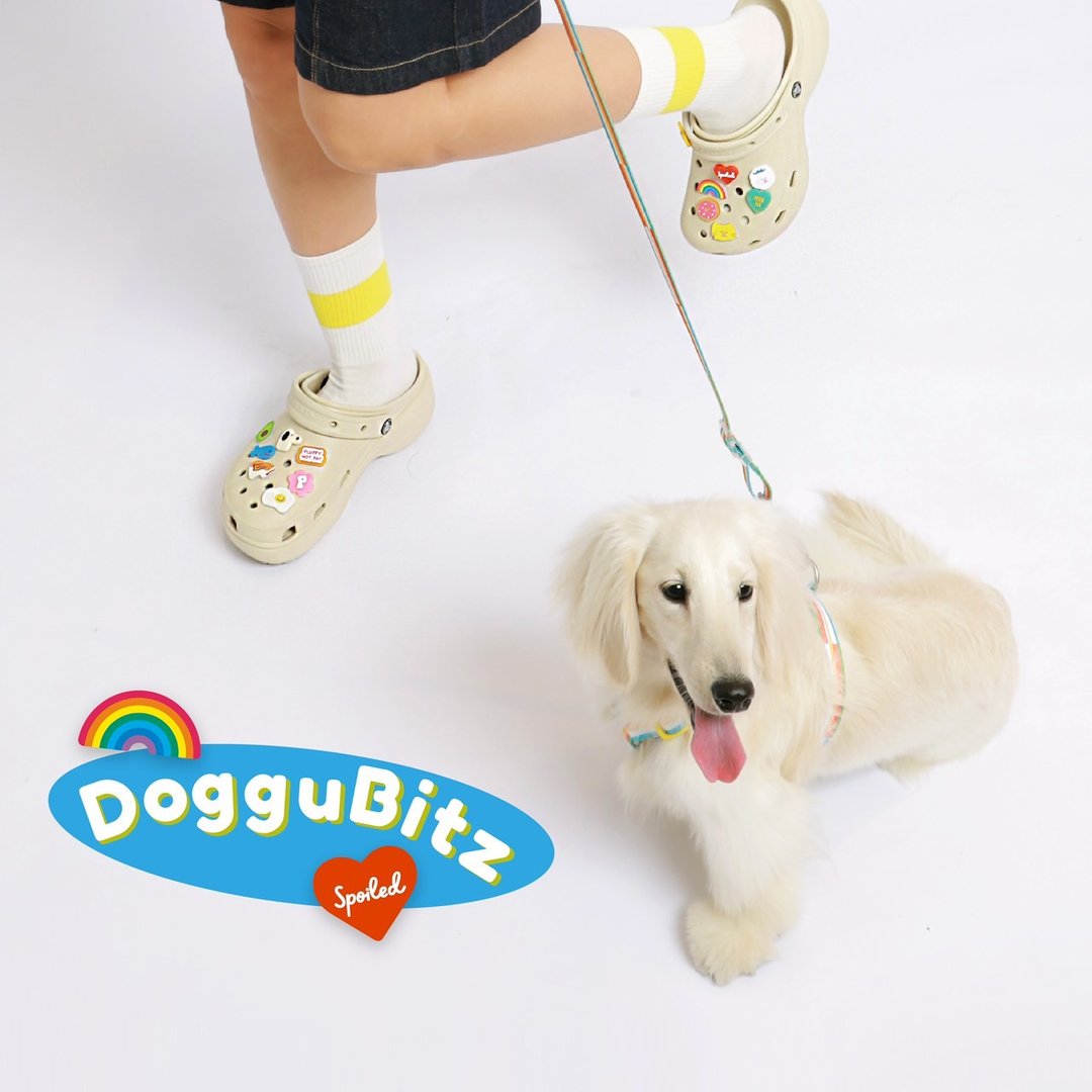 DogguBitz crocs shoe attachment - 吊饰 - 压克力 多色