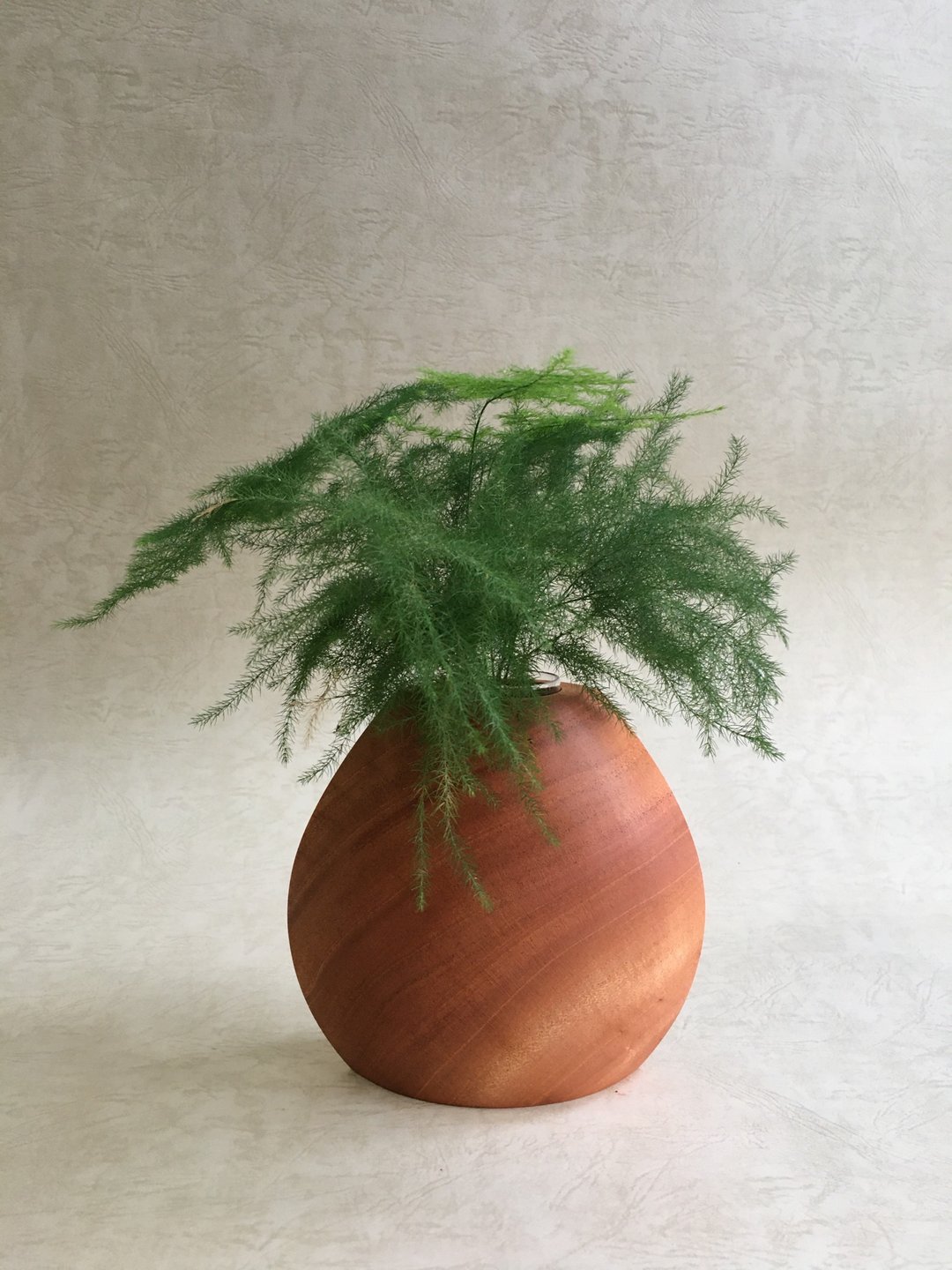 Light Forest 贝壳瓶 桃花心木 扩香瓶、花器  礼物 干燥花永生花 - 花瓶/陶器 - 木头 白色