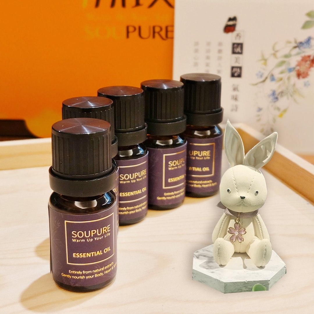 溯璞家品 手作造型扩香石+天然精油2+1入 疗愈芳香组合任选 - 香薰/精油/线香 - 其他材质 