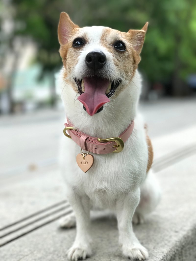 粉红佳人限量牛皮项圈-最后一条 - 项圈/牵绳 - 真皮 粉红色