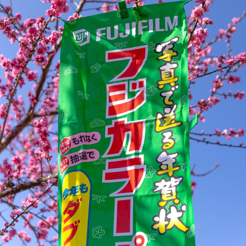 桑惠商号  昭和日本制 富士FUJIFILM 特别色印刷广告旗帜 直式 - 摆饰 - 丝．绢 多色