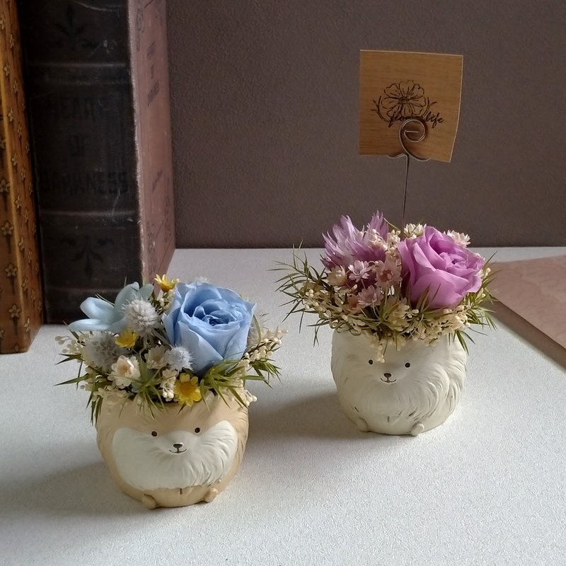 【汪汪│博美】memo夹桌花│永生花│干燥花 - 干燥花/捧花 - 植物．花 