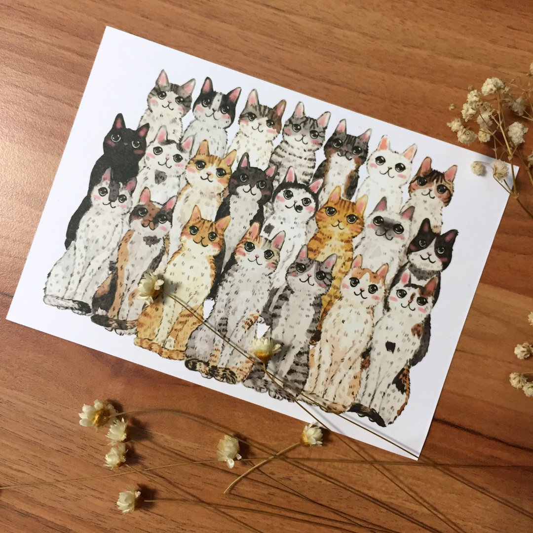 猫咪排排站明信片 - 卡片/明信片 - 纸 多色