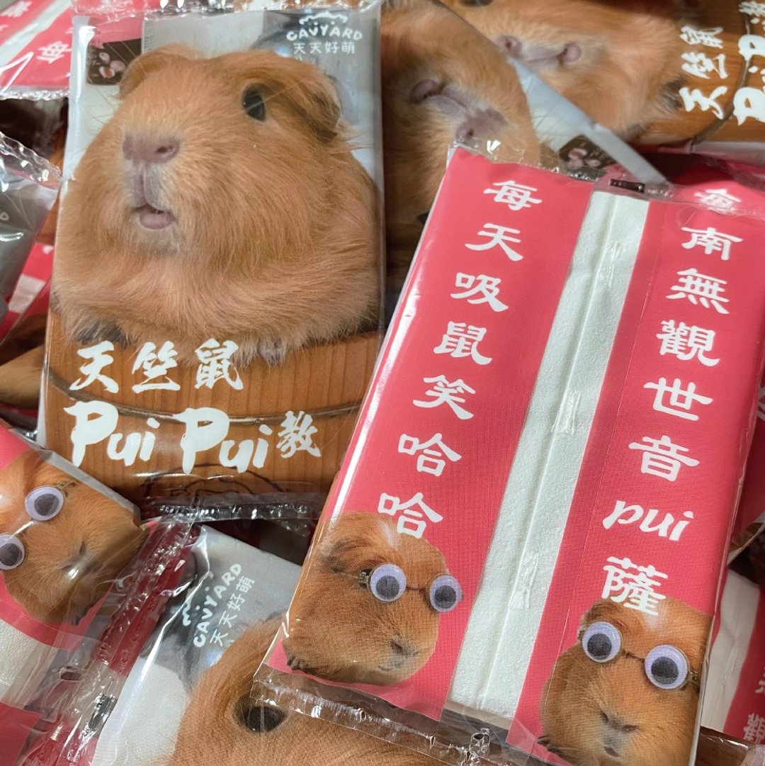 天竺鼠Pui Pui教面纸随身包 共三款 - 其他 - 纸 橘色