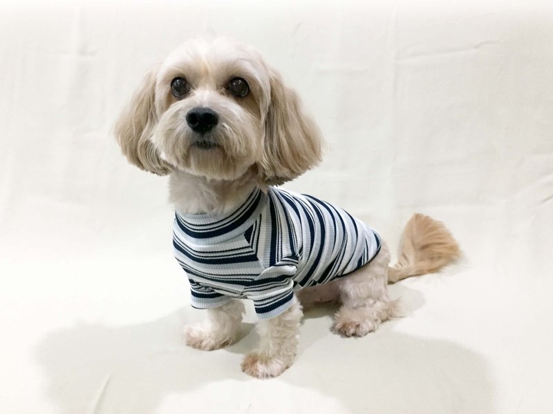 【胡子尾巴】刺绣条纹毛衣宠物衣-蓝色气质 - 衣/帽 - 棉．麻 蓝色