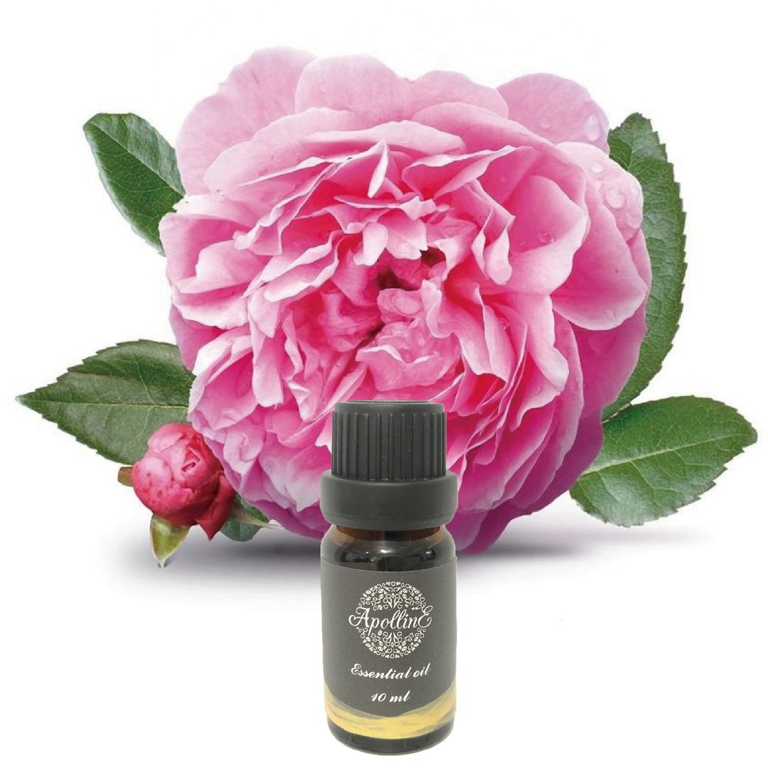 奥图玫瑰精油 ROSE BULGARIAN - 香薰/精油/线香 - 精油 