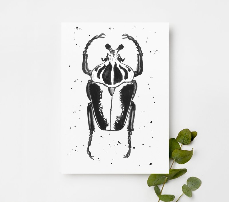 五张带有甲虫插图的明信片 - 卡片/明信片 - 纸 