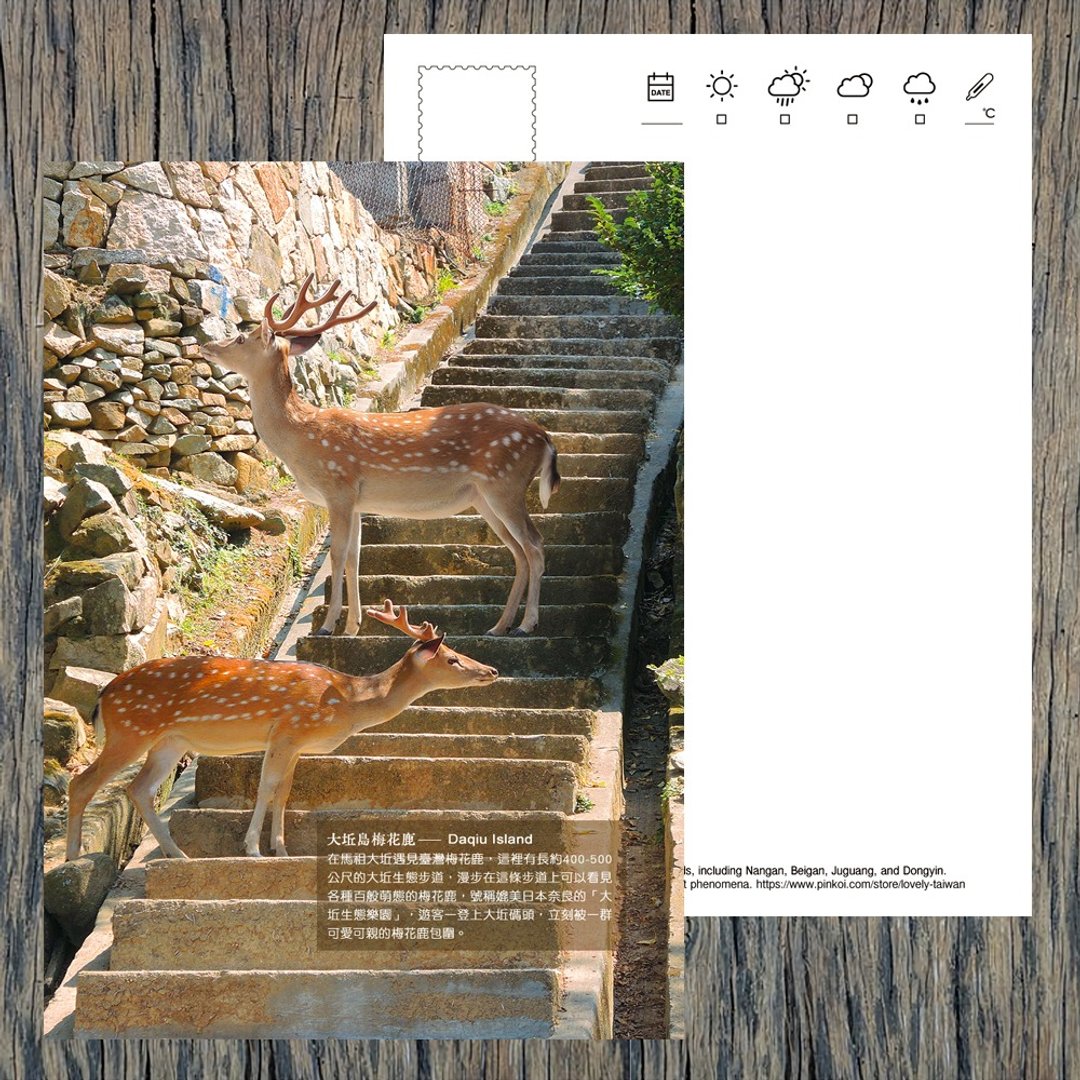 No.D16台湾马祖大丘岛 / 正港台湾梅花鹿明信片 / 任选买10送1 - 卡片/明信片 - 纸 多色