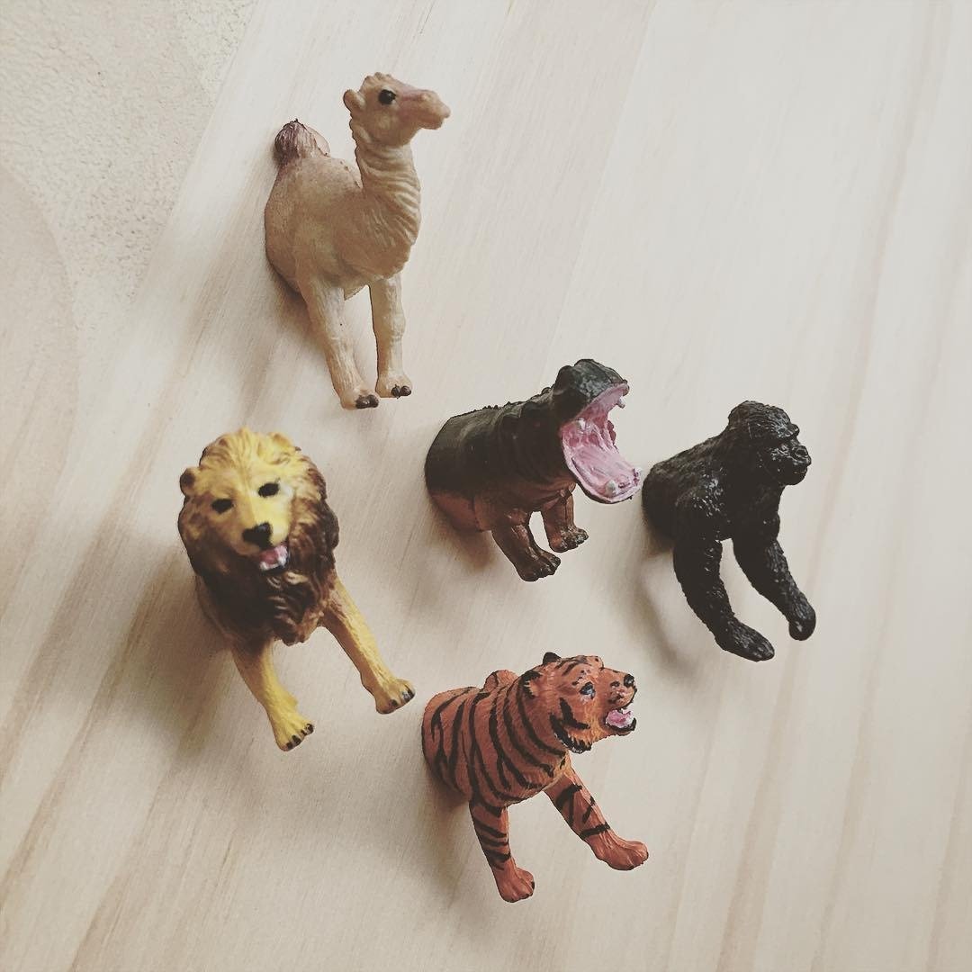 动物磁铁组 狮子．猩猩．老虎． 河马．骆驼 半身动物磁铁组 - 冰箱贴/磁贴 - 塑料 多色