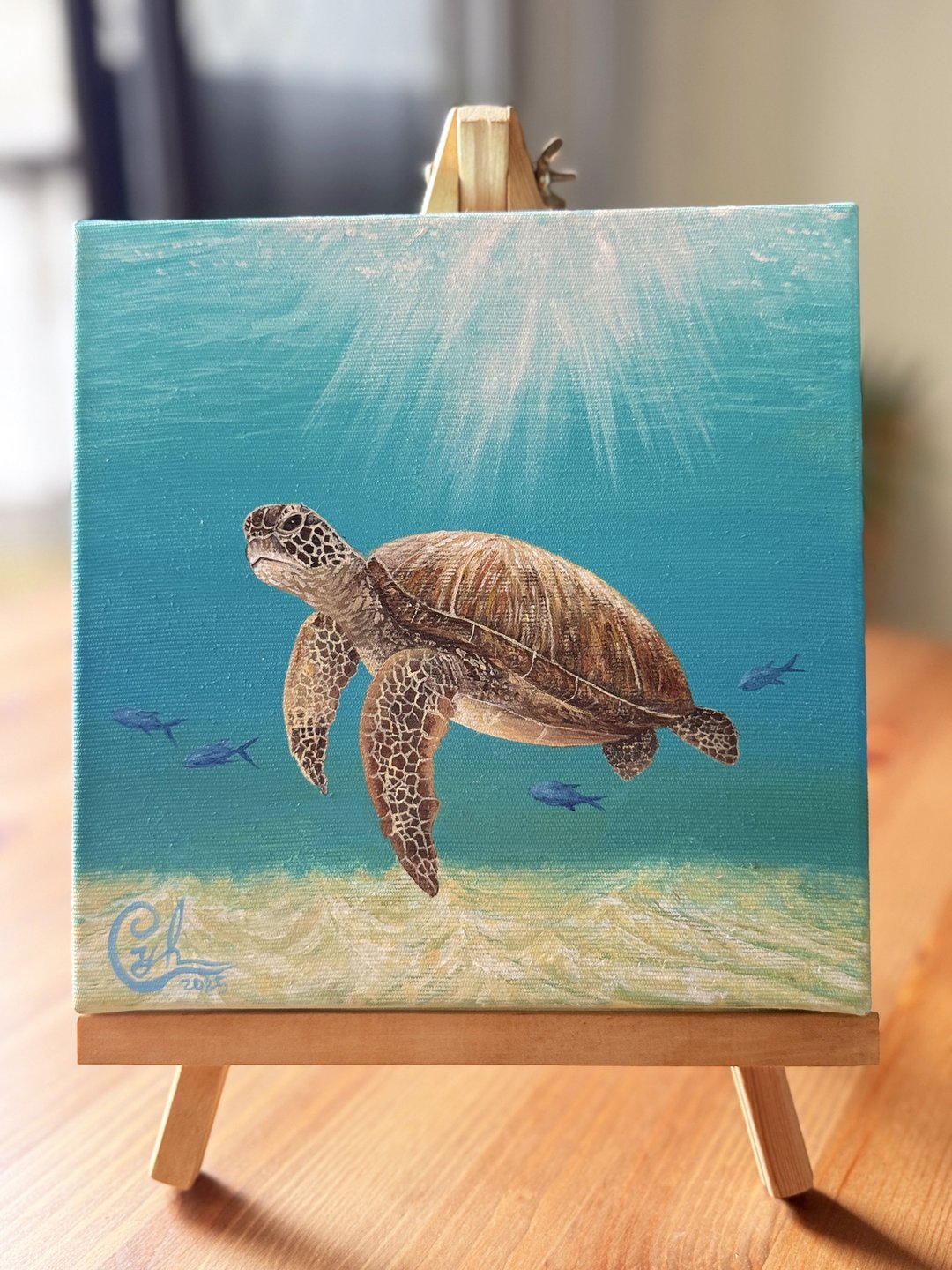 和我一起 迷你海龟3　With Me Mini Sea Turtle 3 - 订制画像 - 棉 多色