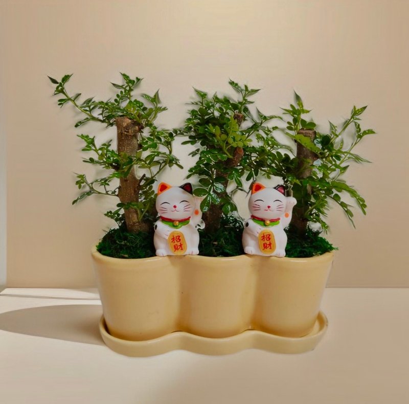【开幕送礼首推】胡椒树桌上型盆栽 招财猫造型开幕乔迁新居送礼 - 植栽/盆栽 - 陶 